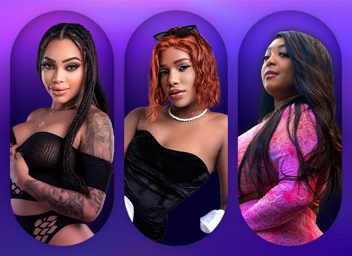 What Is an Ebony Cam Girl?