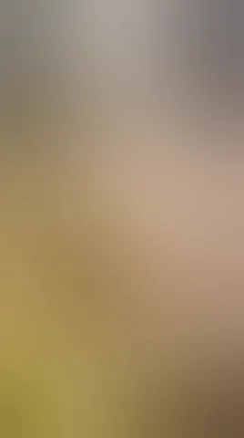 I'm getting comfortable, I want your cock