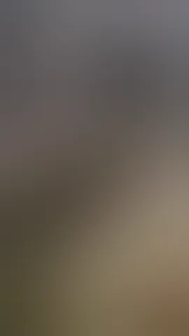 Slut in lingerie likes to touch her sexy, juicy, suckable tits