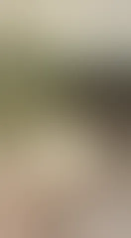 shaking my ass on your dick