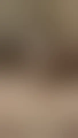 you like my pussy love ?