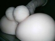 Hgay6935