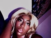 pocket_Bunnny19