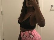 Loyalbambi