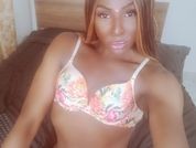 Pamelaston