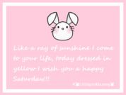 LittlePinkBunnny
