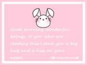 LittlePinkBunnny
