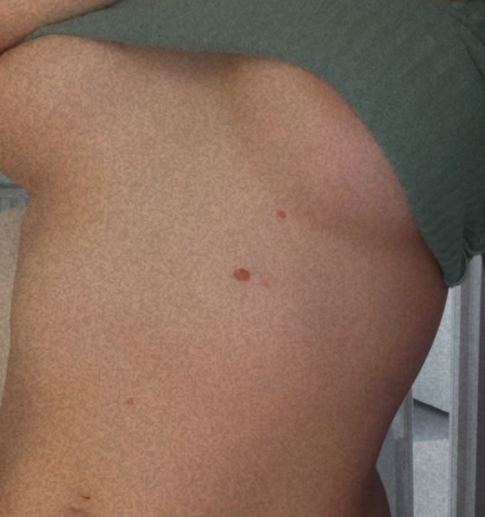 PerkyTitMilf