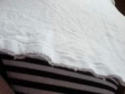 Silver_Willow