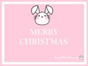 LittlePinkBunnny
