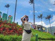 Scarlett_Model