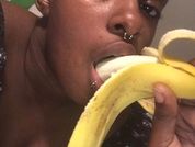 Loyalbambi