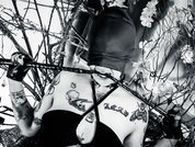 AmySpider