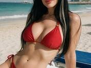 Anelinsa