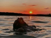 Siren_Irenka