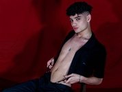 VillyTroye