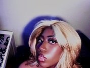 pocket_Bunnny19