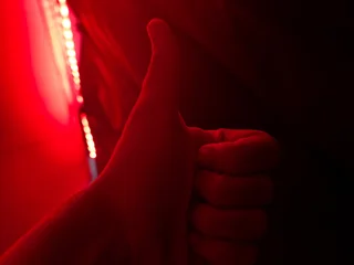 Averagewhitecock