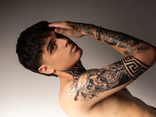 Declan_fox