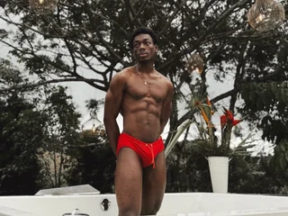 JanStallion