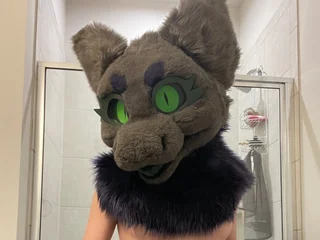 TiedMuzzled profile