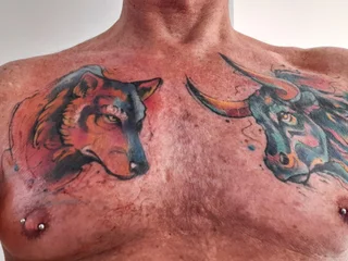 VixenandTheWolf