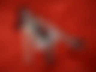 FrancheskaVelez profile