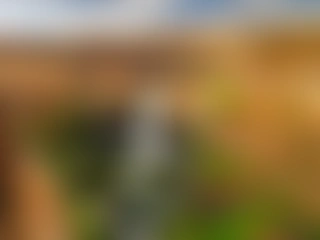 FreddyTest19