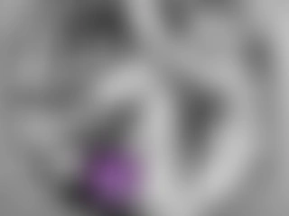 JohnSequoiaxxx99 profile