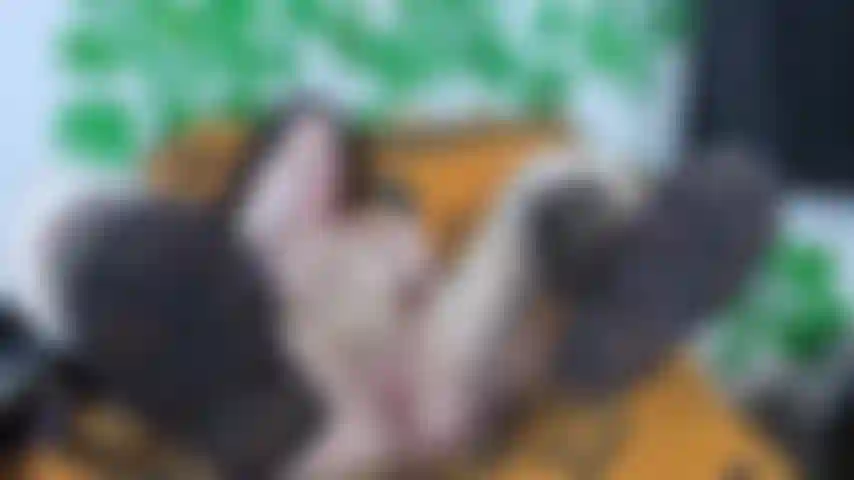 Masturbation with Glass Dildo in my Ugg Boots