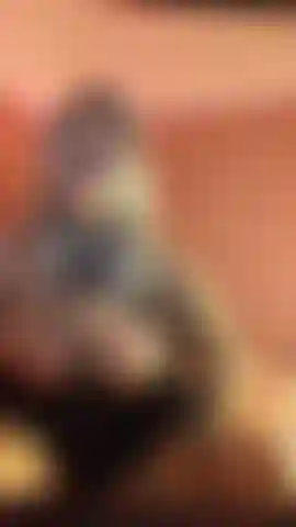 Cum in my mouth joi.