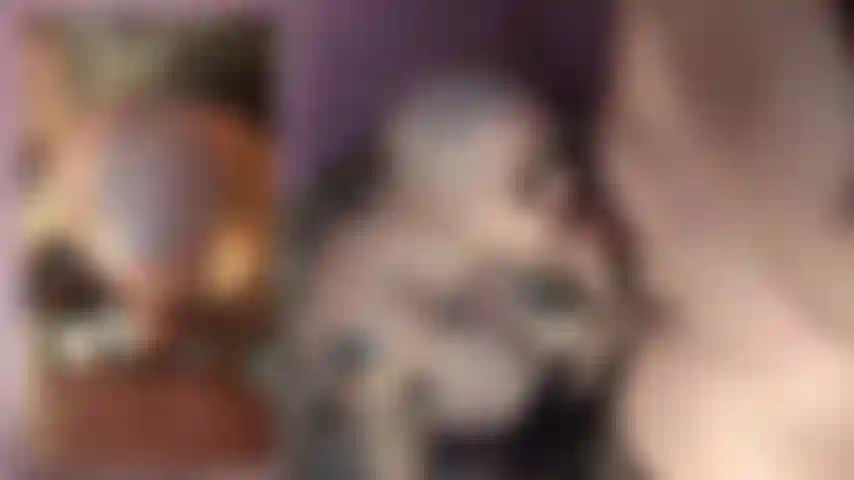 Giving a blowjob and letting him cum on my freshly shaved bald Head