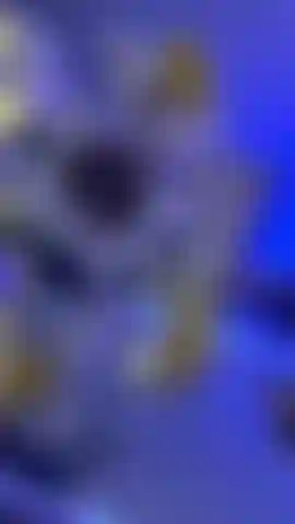 Do you want to put your hands right here? come here please