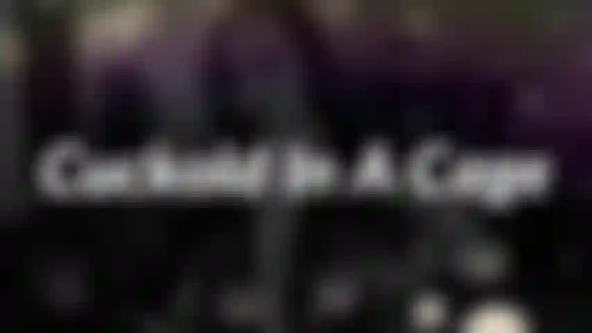 CUCKOLD IN A CAGE - I picked up something for you when I was out. Something I really think will help our relationship. Surprise! Your cock in a cage!