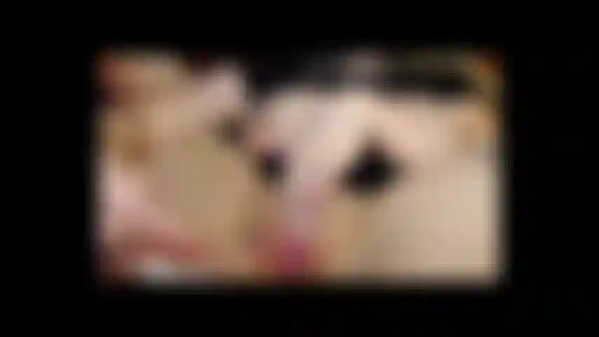 Cum blown on pussy CLIP FROM LONGER VIDEO