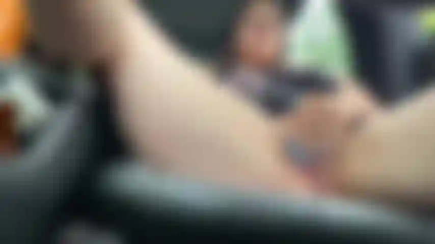 Sativa State Park Car Play