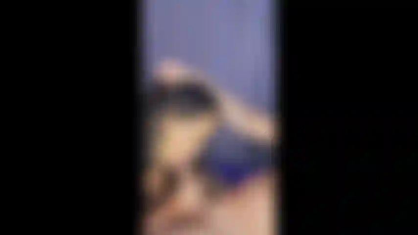 Suck my dick