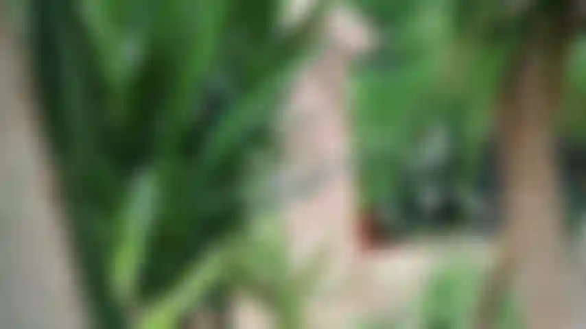 Summer after lockdown :)