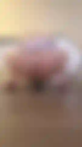 Riding my dildo wearing my virgin killer sweater. My pussy so grippy omg