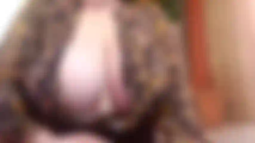 Reverse Cowgirl & BJ 4 "Daddy"    POV slobbering all over your fat cock &then stuffing it inside my tiny pussy & watching my ass bounce as I take it all!