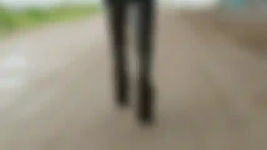 Would you like to go for a walk?