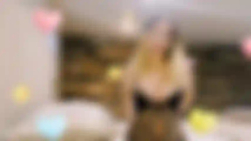 Ready To Be Railed By My Alpha