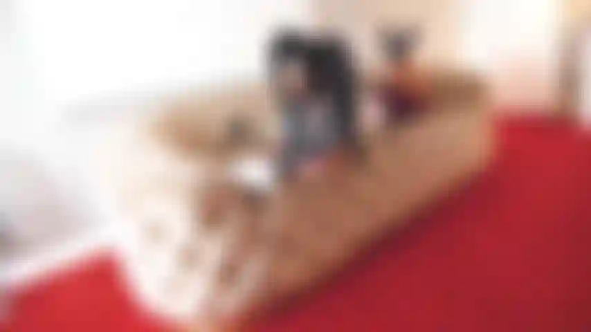 School girl time, maybe is your fantasy!