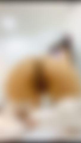 Worship my ass and feet.