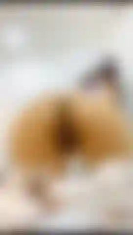 Worship my ass and feet.