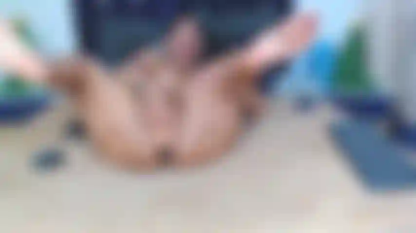 Fuck hard and fast my wet pussy