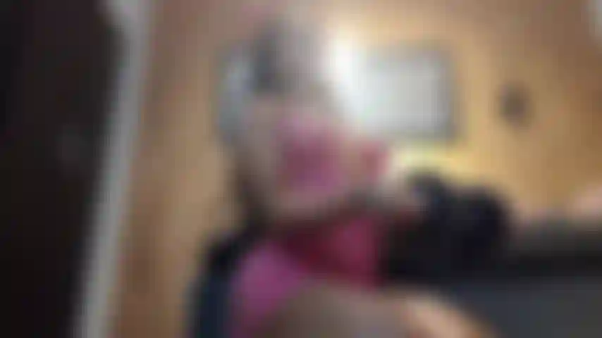 Wanna see me sweat and jiggle?