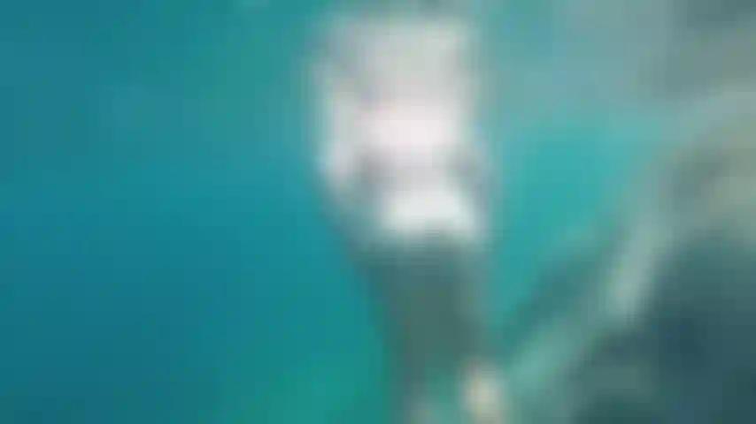 Having some problems taking my speedo off. Wanna give me a hand under water?