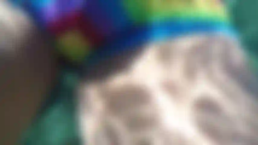 How does my bulge look in this speedo?