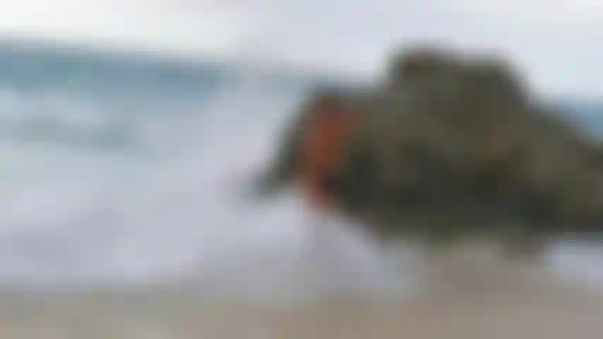 Playing in the waves